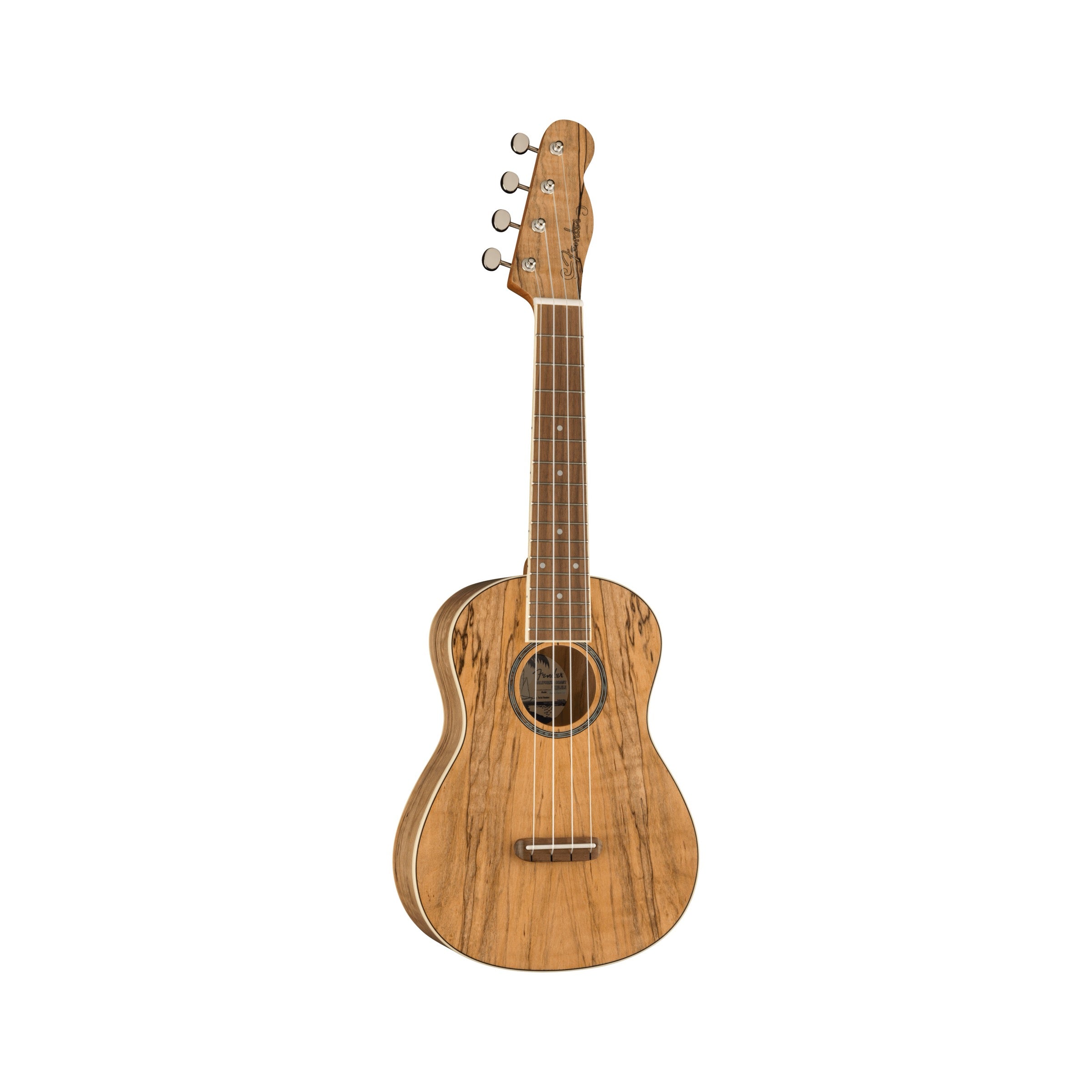 Fender Zuma Exotic Concert Ukulele - Spalted Maple - front angle