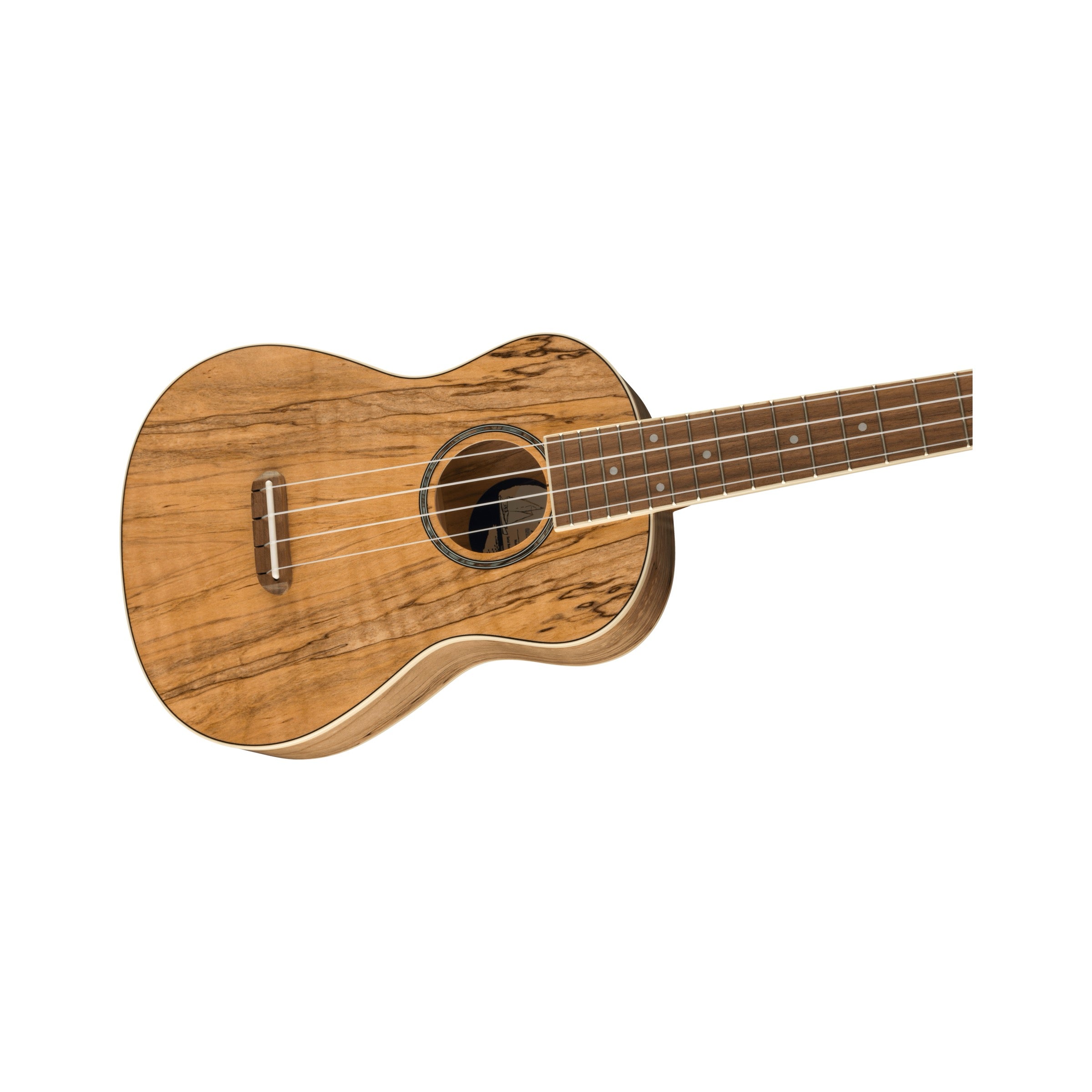 Fender Zuma Exotic Concert Ukulele - Spalted Maple - body angle
