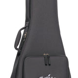 Martin softshell case included with the 00-15M