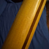 1981 Fender Bullet - neck back with walnut skunk stripe - Pauls Guitar Hideout