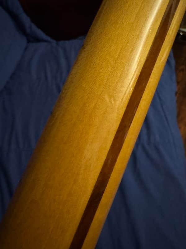 1981 Fender Bullet - neck back with walnut skunk stripe - Pauls Guitar Hideout