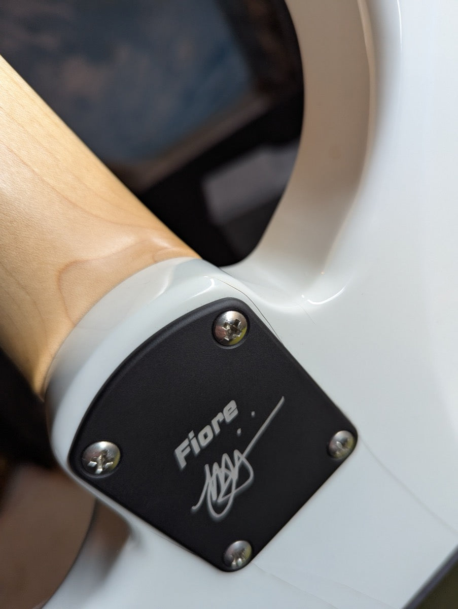 PRS Fiore Mark Lettieri Signature — finish crack detail noted in description — Paul's Guitar Hideout, Glens Falls NY