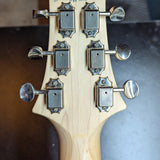 PRS Fiore Mark Lettieri Signature — fretboard detail with PRS bird inlays — Paul's Guitar Hideout, Glens Falls NY