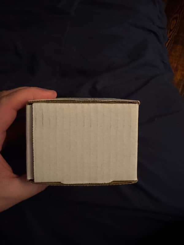 Champion Leccy The Dunsh - box exterior side view - Pauls Guitar Hideout