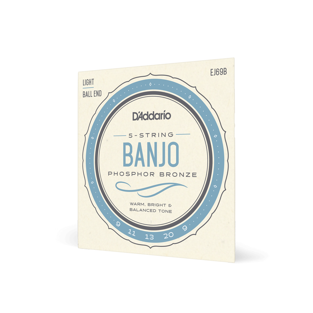 D'Addario EJ69B Phosphor Bronze banjo strings