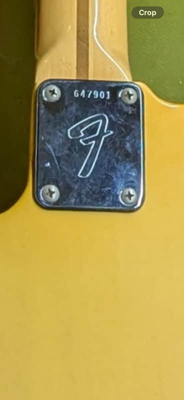 1975 Fender Telecaster - neck plate serial number close-up - Pauls Guitar Hideout
