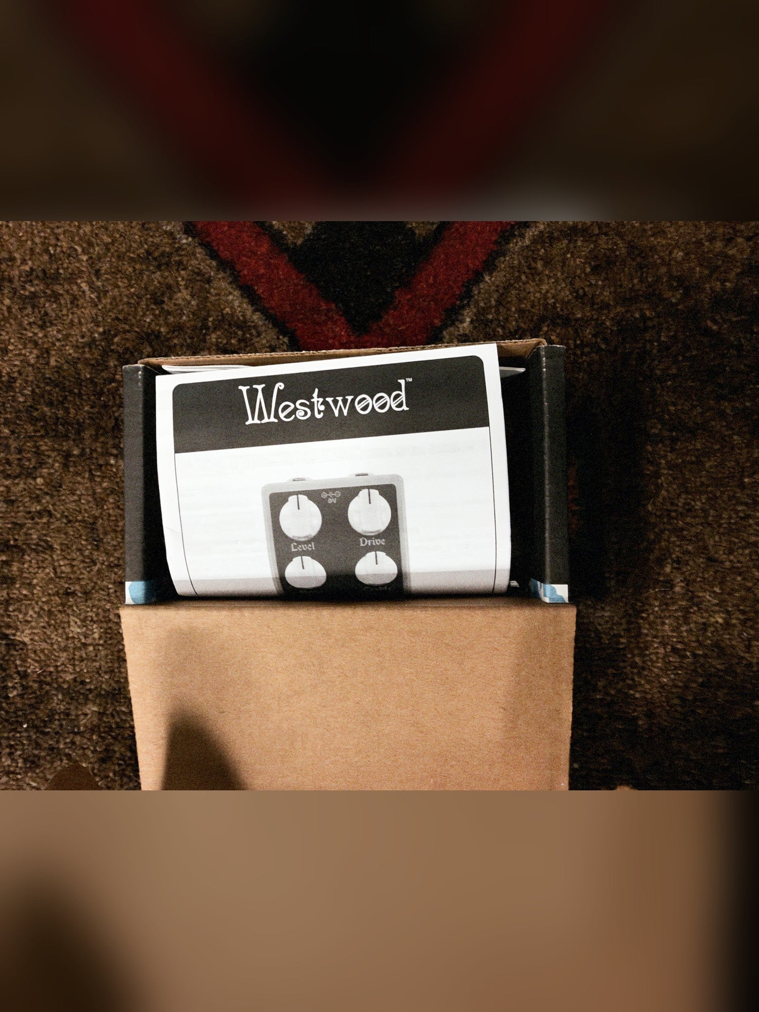 EarthQuaker Devices Westwood, seafoam green: the original box open with the paper manual inside