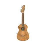 Fender Zuma Exotic Concert Ukulele, Spalted Maple: front view, full instrument