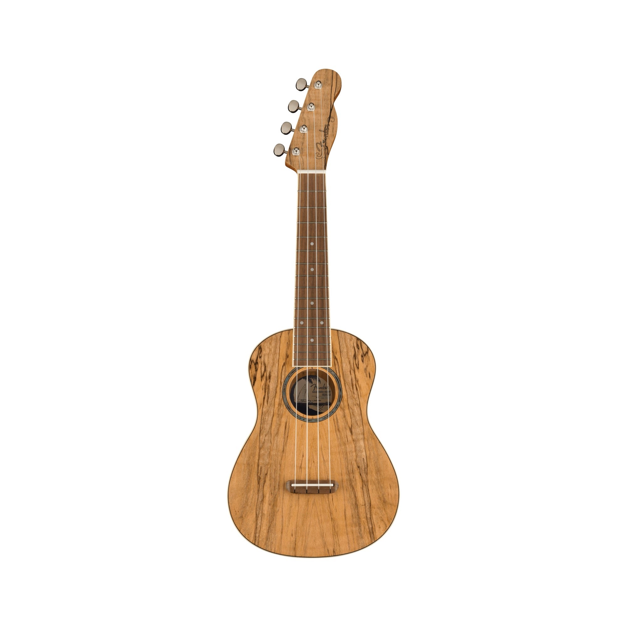 Fender Zuma Exotic Concert Ukulele, Spalted Maple: front view, full instrument