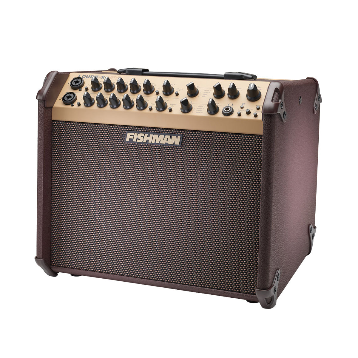 Fishman Loudbox Artist BT acoustic amplifier, angled view showing cabinet depth and the tilted baffle