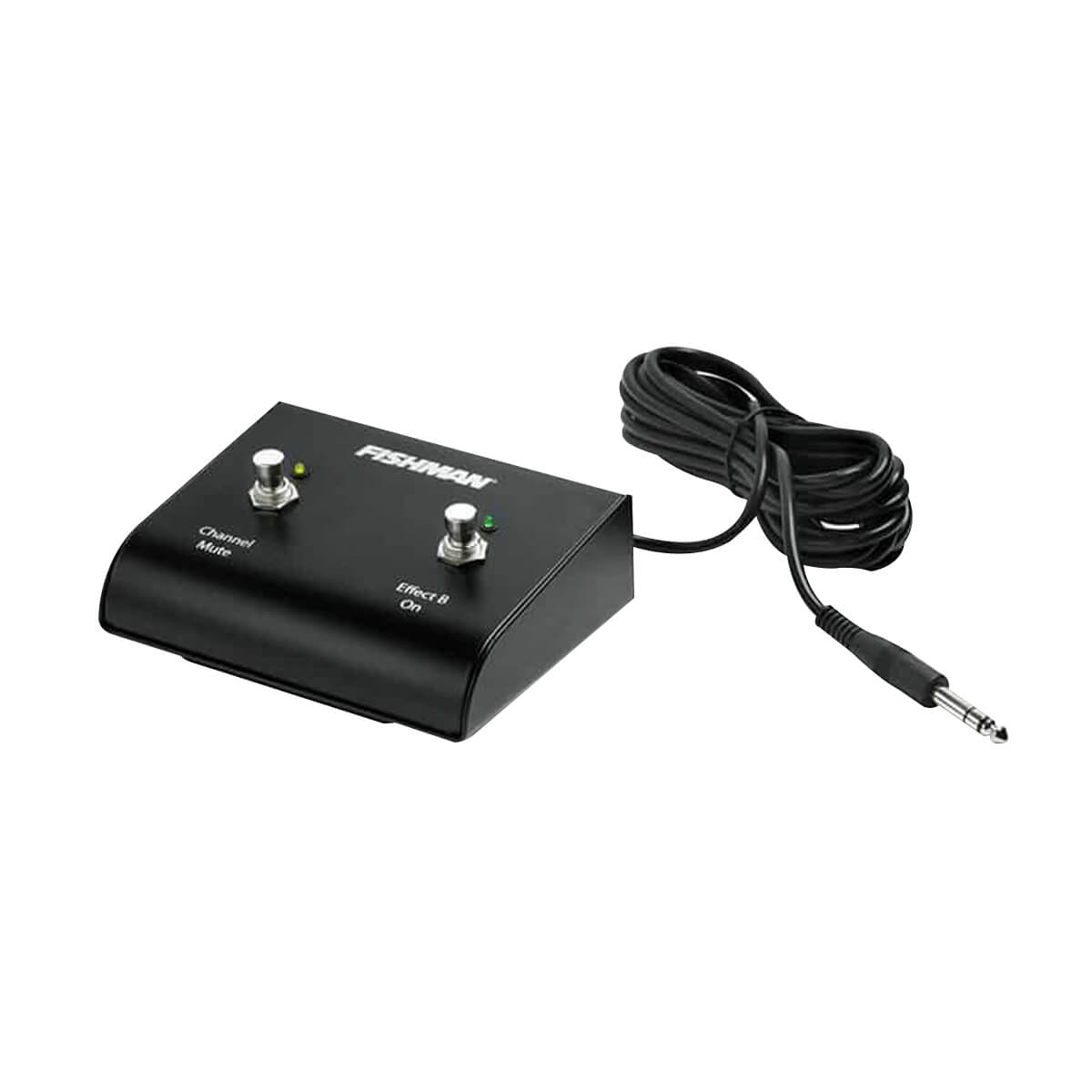 Fishman Loudbox dual foot switch, two-button lighted pedal with attached cable