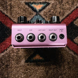 Strymon DIG Dual Digital Delay V1, lavender: back end with the Input, EXP, Left Out and Right Out jacks and the 9VDC power jack
